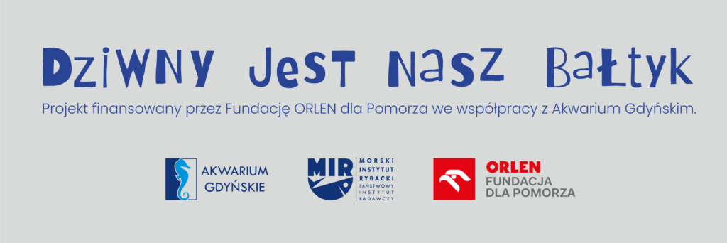 Dziwny jest nasz Bałtyk - projekt finansowany przez Fundację Orlen dla Pomorza we współpracy z Akwarium Gdyńskim. 
